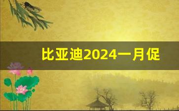 比亚迪2024一月促销,比亚迪 电动